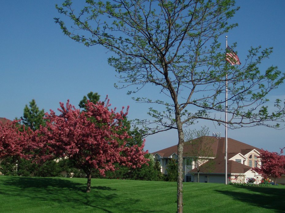 Flag Pole, Spring 2014.  Photo by Lori Neu